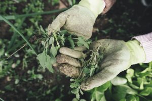 Les astuces pour se sentir plus épanoui(e) au quotidien